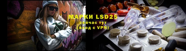 PSILOCYBIN Беломорск
