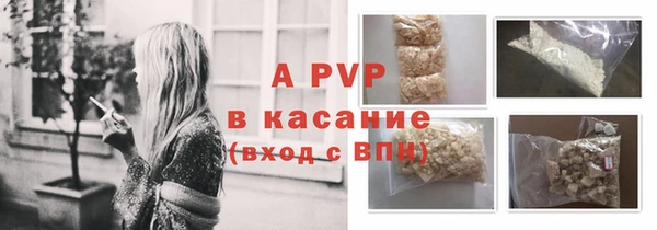 PSILOCYBIN Беломорск