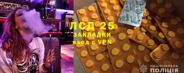 PSILOCYBIN Беломорск