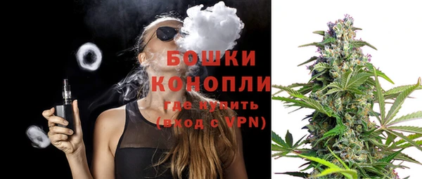 PSILOCYBIN Беломорск
