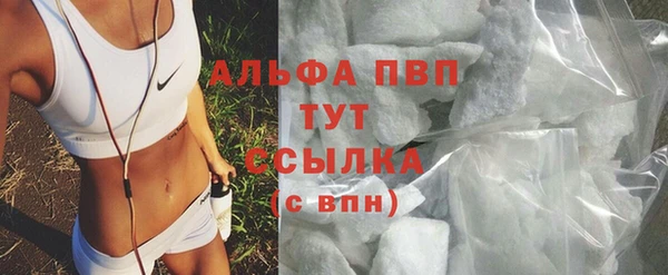 PSILOCYBIN Беломорск